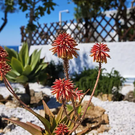 Vakantiehuis Lily Mykonos *