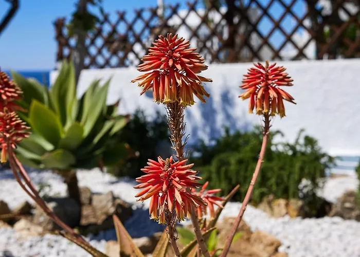 Feriehus Lily Mykonos