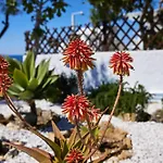 Дом отдыха Lily Mykonos