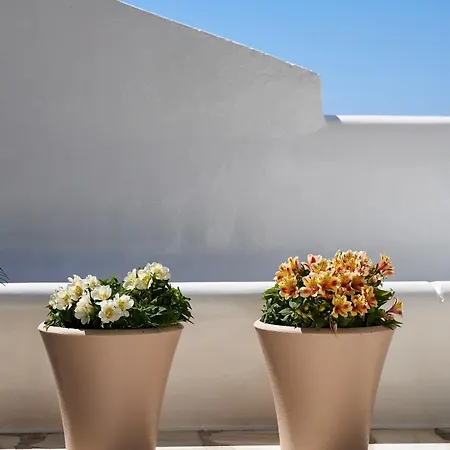 Tatil Evi Lily Mykonos Mykonos Town