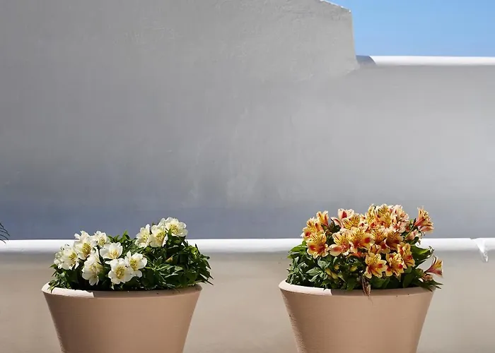 Casa de Férias Lily Mykonos Mykonos Town